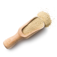 ingredients_transparent_02