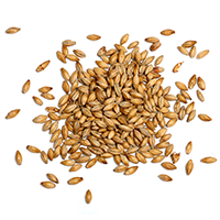 ingredients_transparent_03