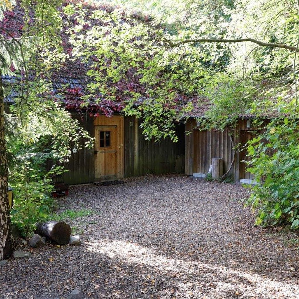 70080696_2587212441299721_4352391748365079423_n https://alt.brauereihaberstumpf.de/wp-content/uploads/2019/10/70080696_2587212441299721_4352391748365079423_n.jpg